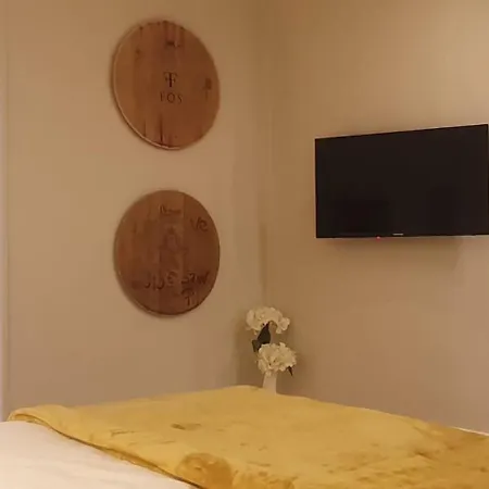 Apartment Vinicole Hypercentre, Gare & Parking Gratuit Esplanade Grenoble