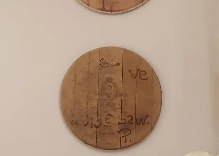 Vinicole Hypercentre, Bastille & Gare 9 Min A Pied Apartment