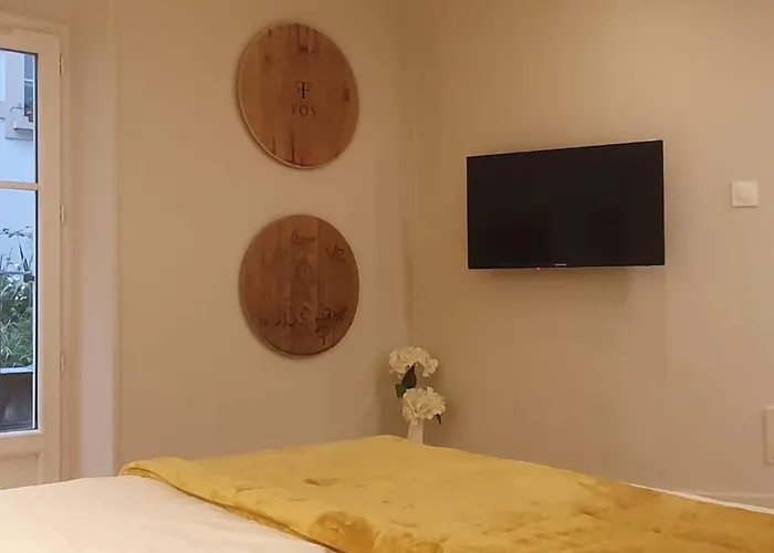 Apartment Vinicole Hypercentre, Bastille & Gare 9 Min A Pied Grenoble